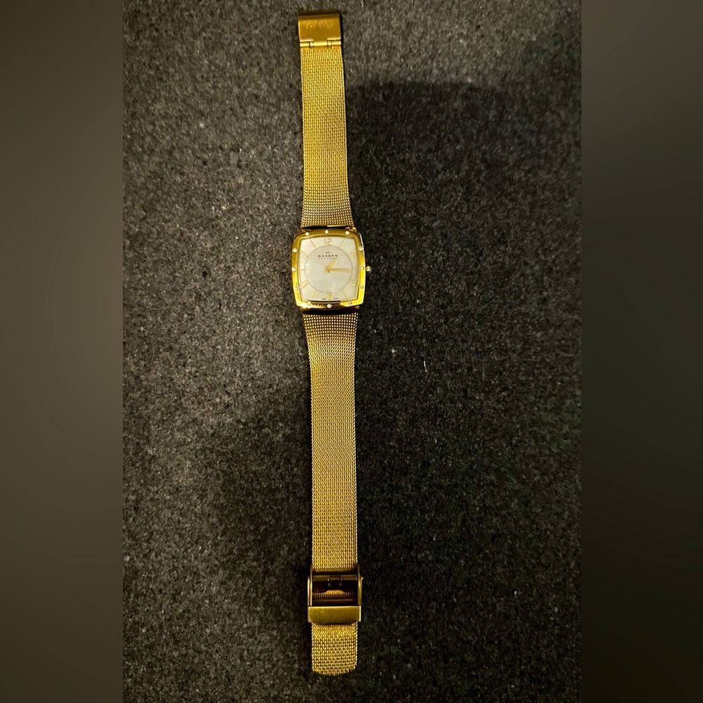 Skagen Denmark stainless steel watch